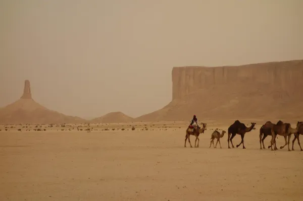 Arabia Felix: Exploring Ancient Hadramawt and the Port of Qana